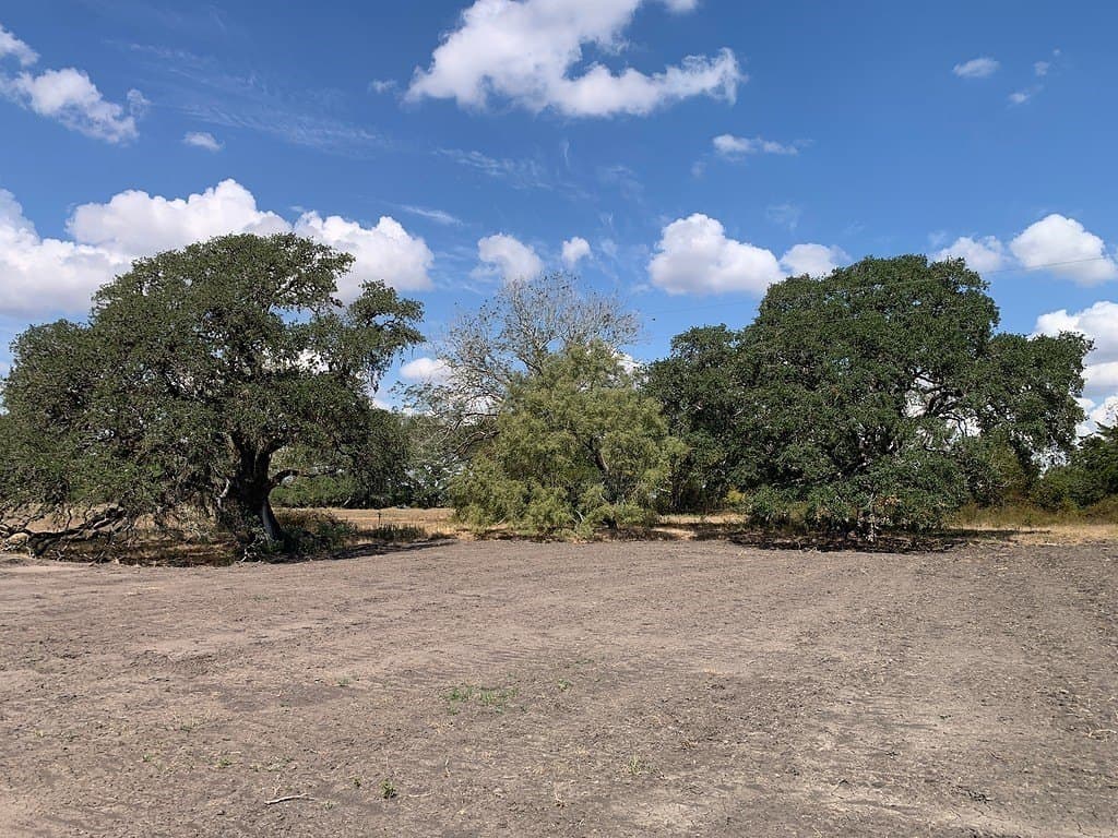 10.81 acres in Colorado County - photo 20