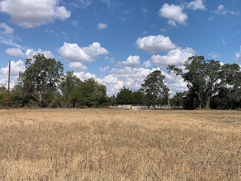 10.81 acres in Colorado County - photo 17