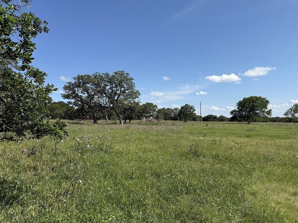 10.81 acres in Colorado County - photo 8