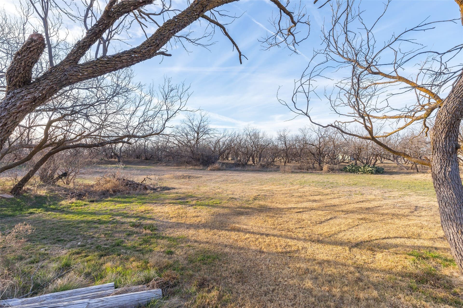 8.33 acres in Callahan County - photo 15