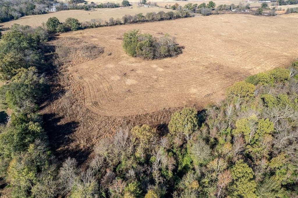 70.29 acres in Rains County gallery image 4