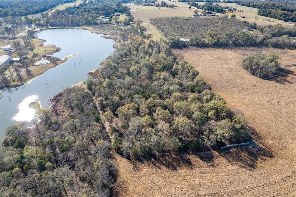 70.29 acres in Rains County gallery image 2