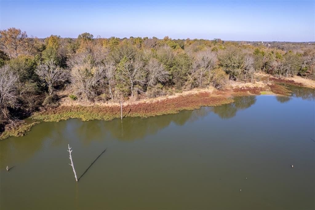 70.29 acres in Rains County gallery image 3