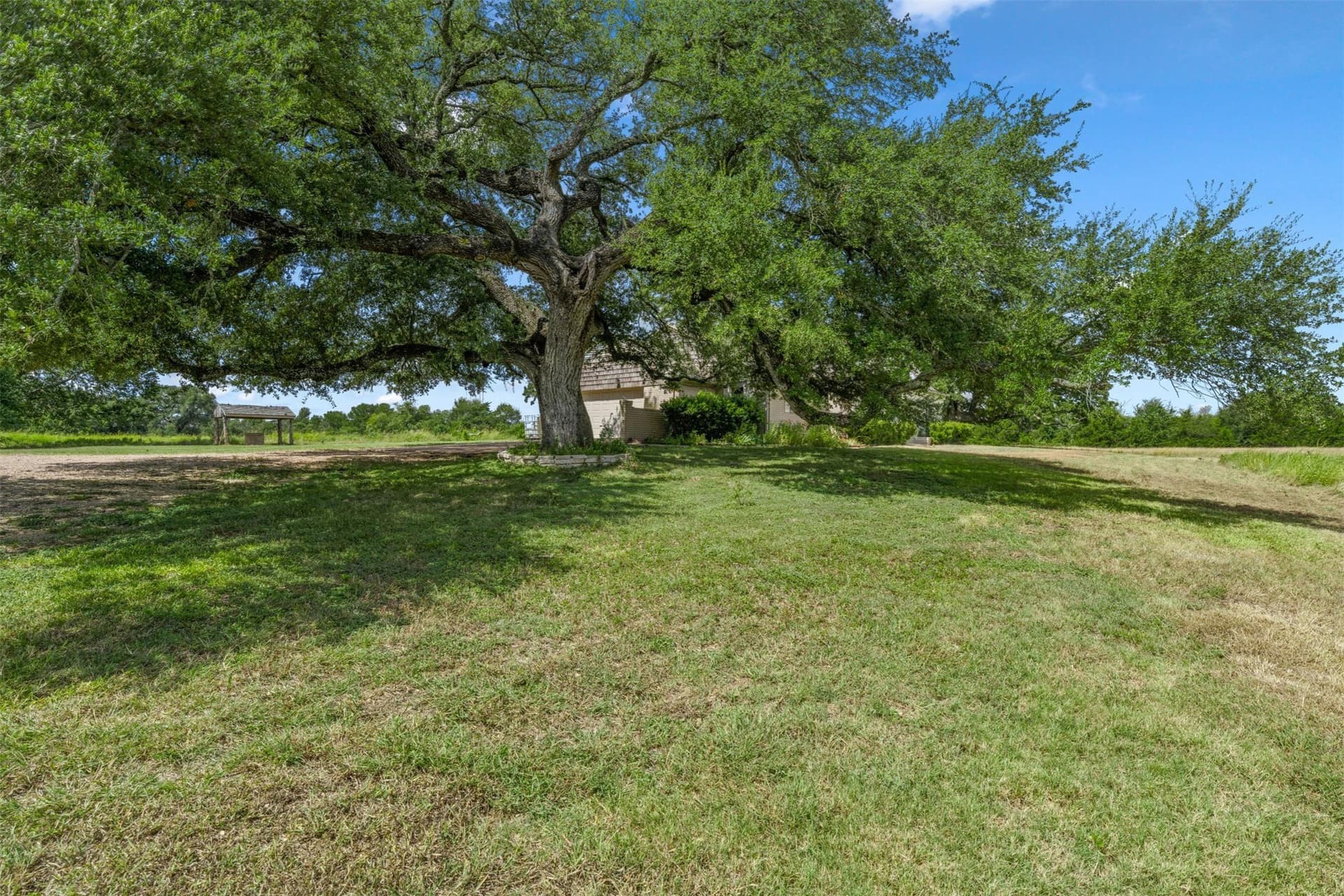 17.29 acres in Falls County - photo 27