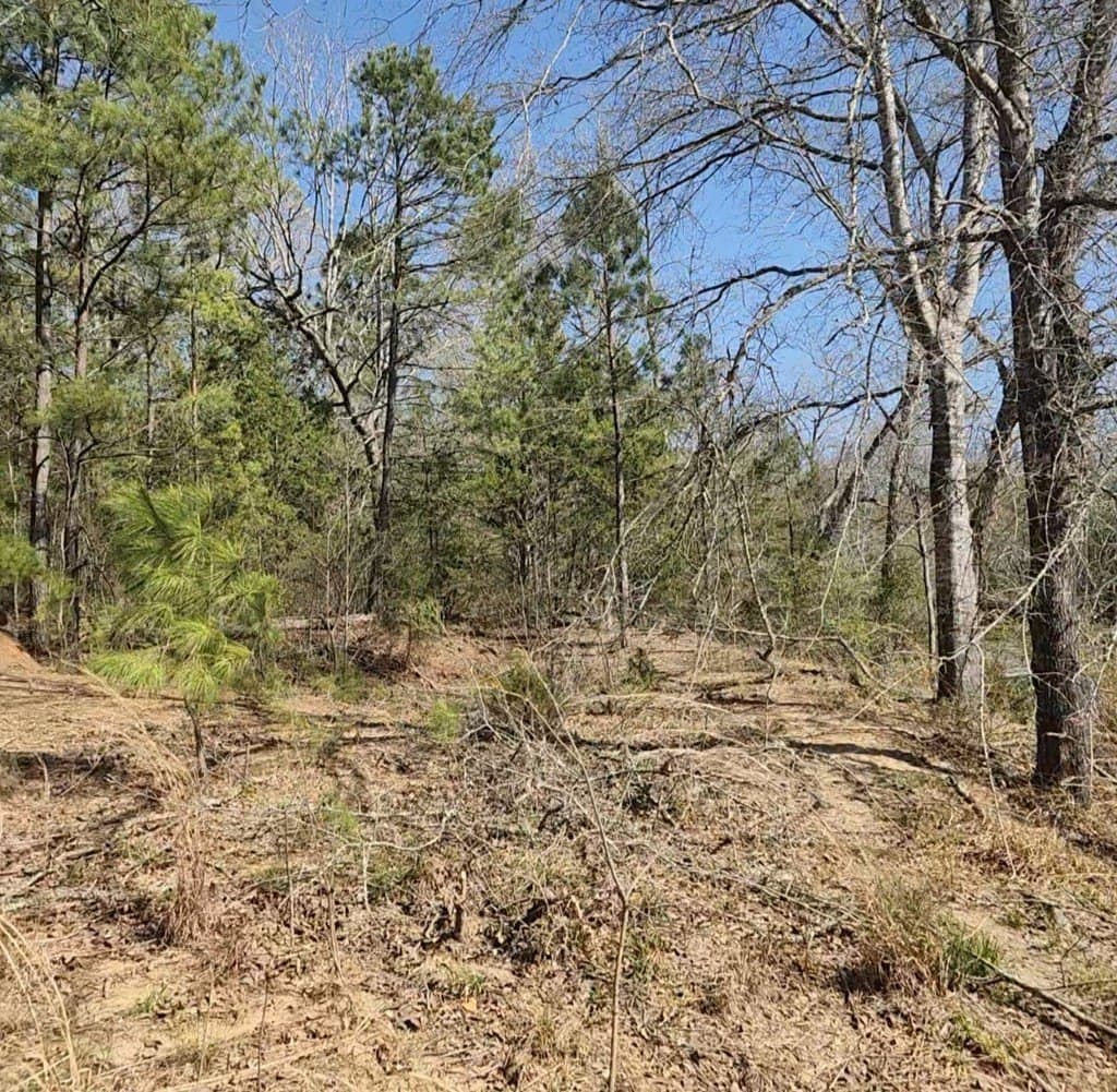 73.51 acres in ANDERSON County - photo 33
