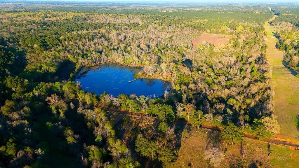 73.51 acres in ANDERSON County - photo 6