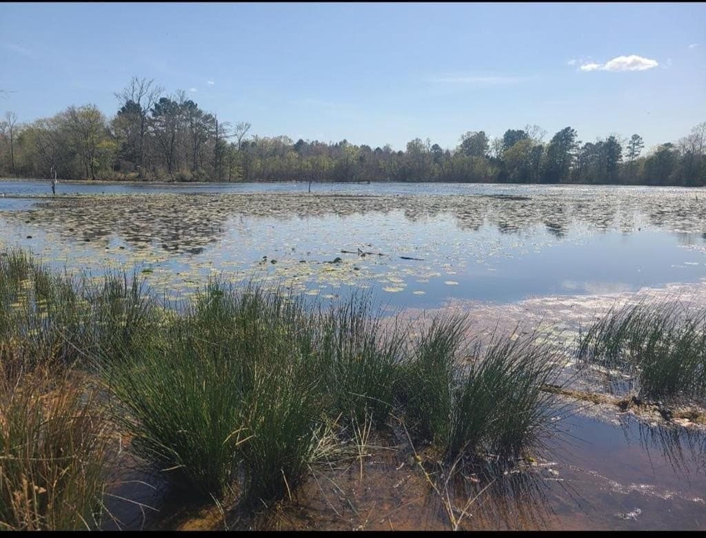 73.51 acres in ANDERSON County - photo 35