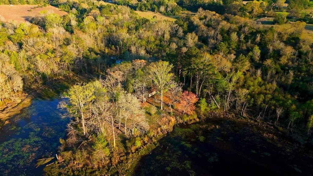 73.51 acres in ANDERSON County gallery image 4
