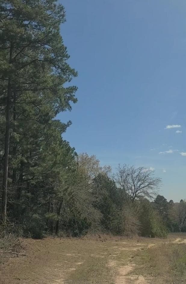 73.51 acres in ANDERSON County - photo 26