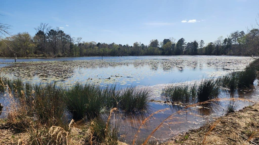 73.51 acres in ANDERSON County - photo 37