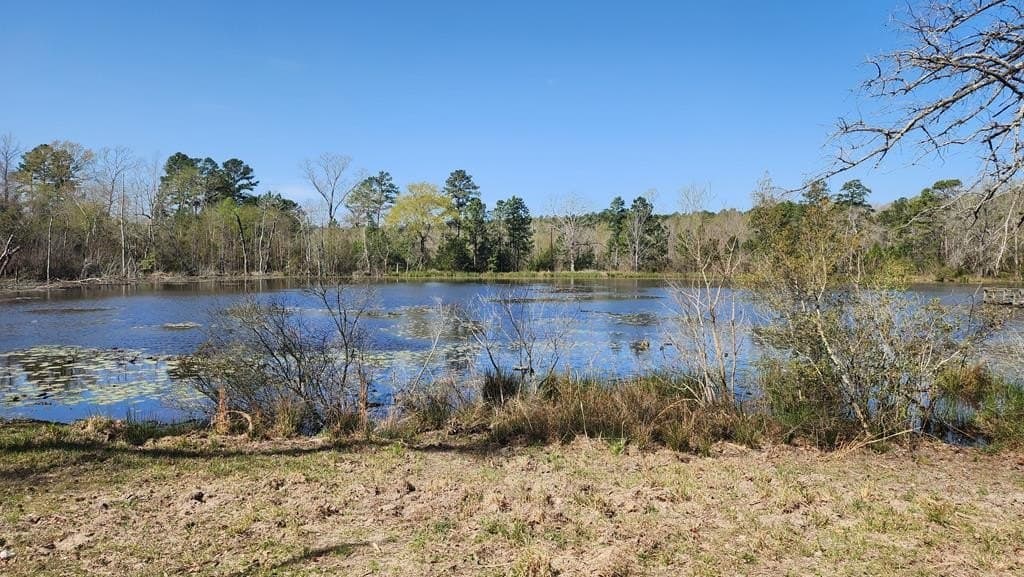 73.51 acres in ANDERSON County - photo 34