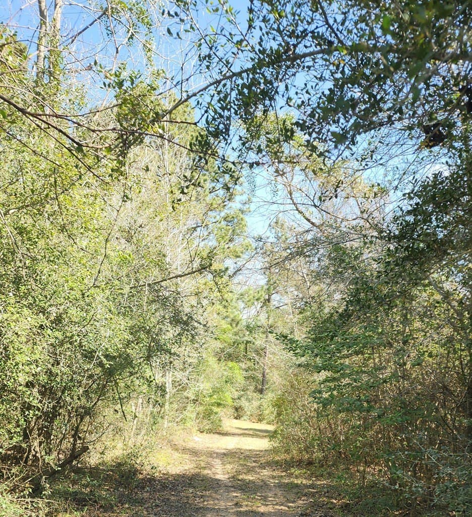 73.51 acres in ANDERSON County - photo 18