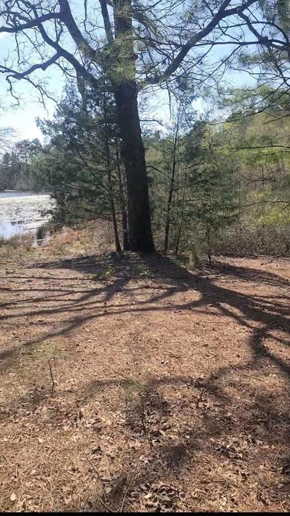73.51 acres in ANDERSON County - photo 40