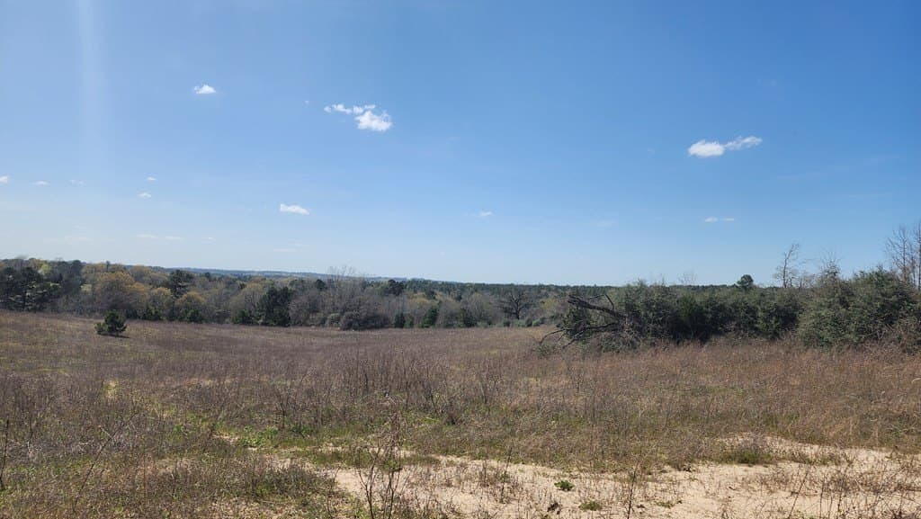73.51 acres in ANDERSON County - photo 22