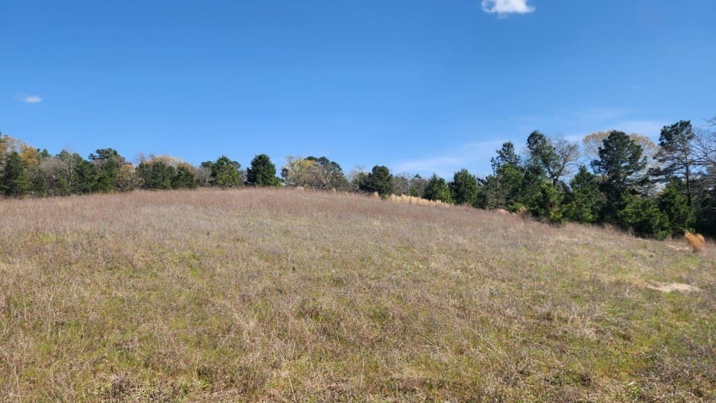 73.51 acres in ANDERSON County - photo 11