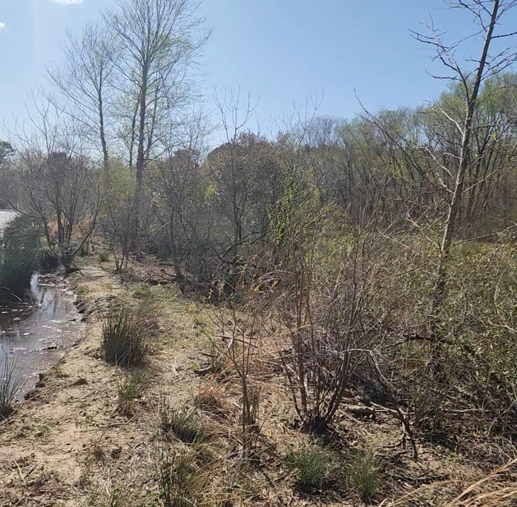 73.51 acres in ANDERSON County - photo 41
