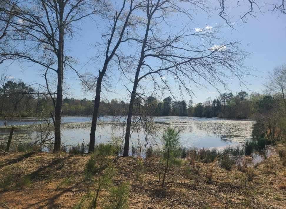 73.51 acres in ANDERSON County - photo 8