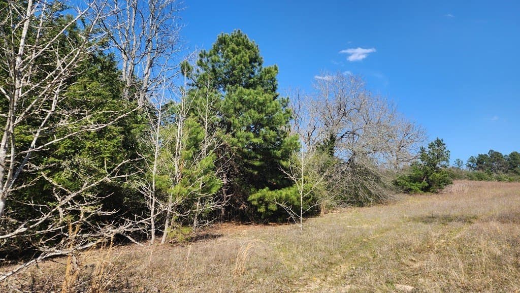 73.51 acres in ANDERSON County - photo 15