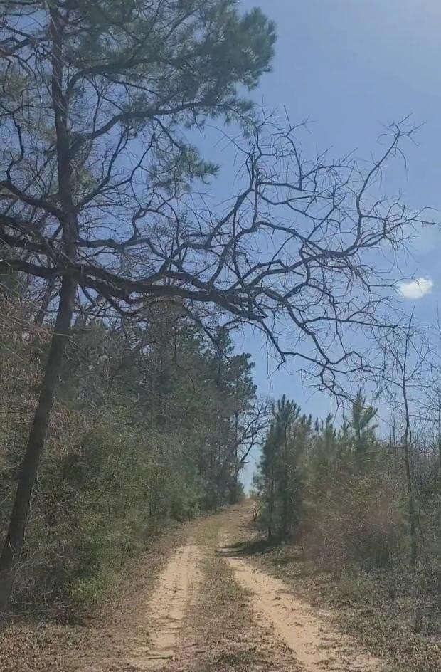 73.51 acres in ANDERSON County - photo 14