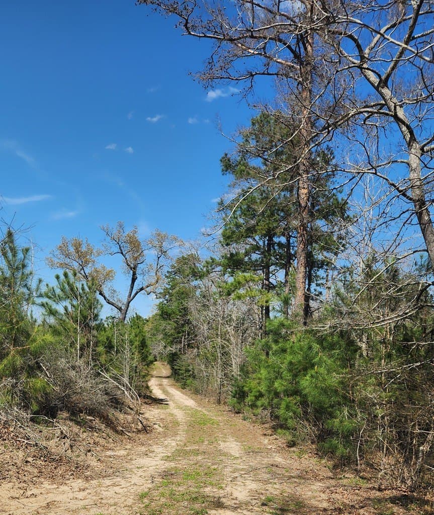 73.51 acres in ANDERSON County - photo 19