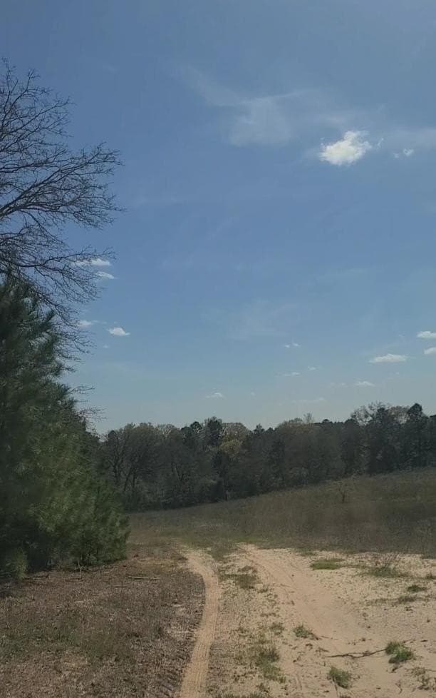 73.51 acres in ANDERSON County - photo 23