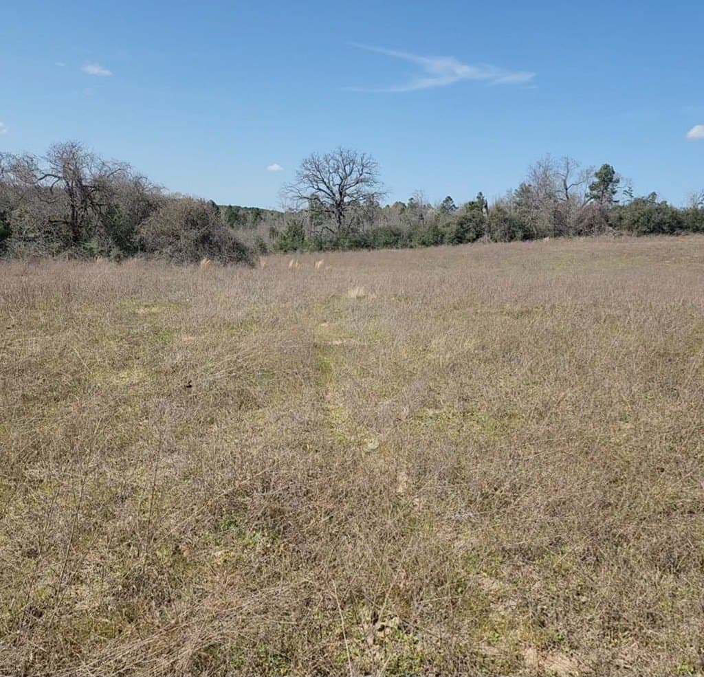73.51 acres in ANDERSON County - photo 27