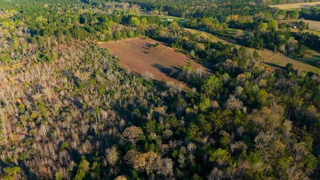 73.51 acres in ANDERSON County gallery image 2