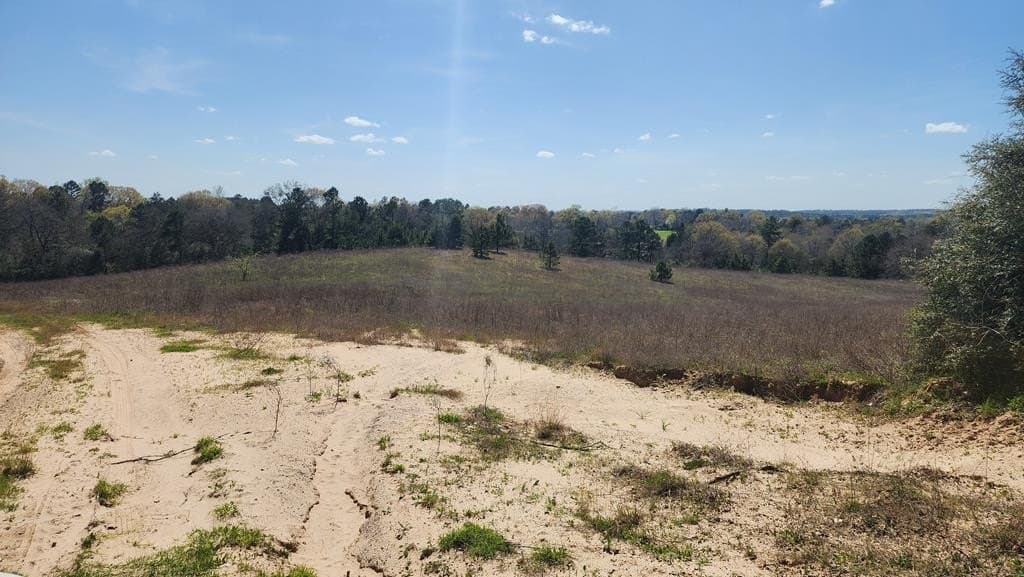 73.51 acres in ANDERSON County - photo 24