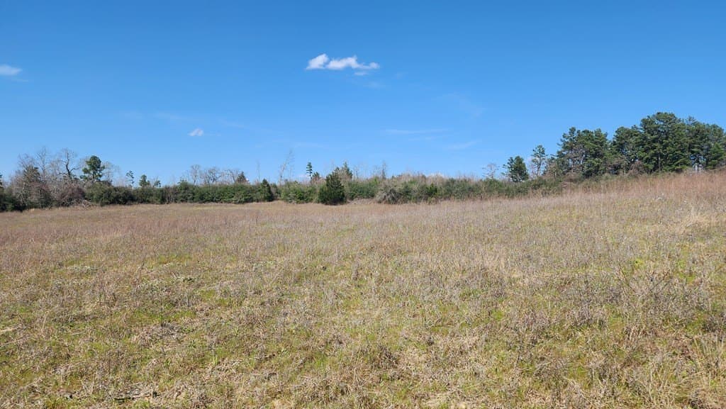73.51 acres in ANDERSON County - photo 30