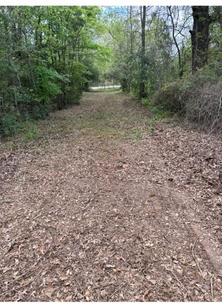 73.51 acres in ANDERSON County - photo 16