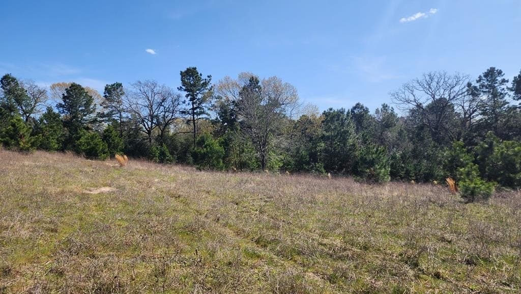 73.51 acres in ANDERSON County - photo 29
