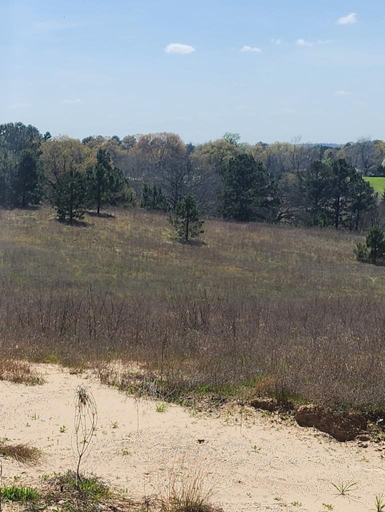 73.51 acres in ANDERSON County - photo 13