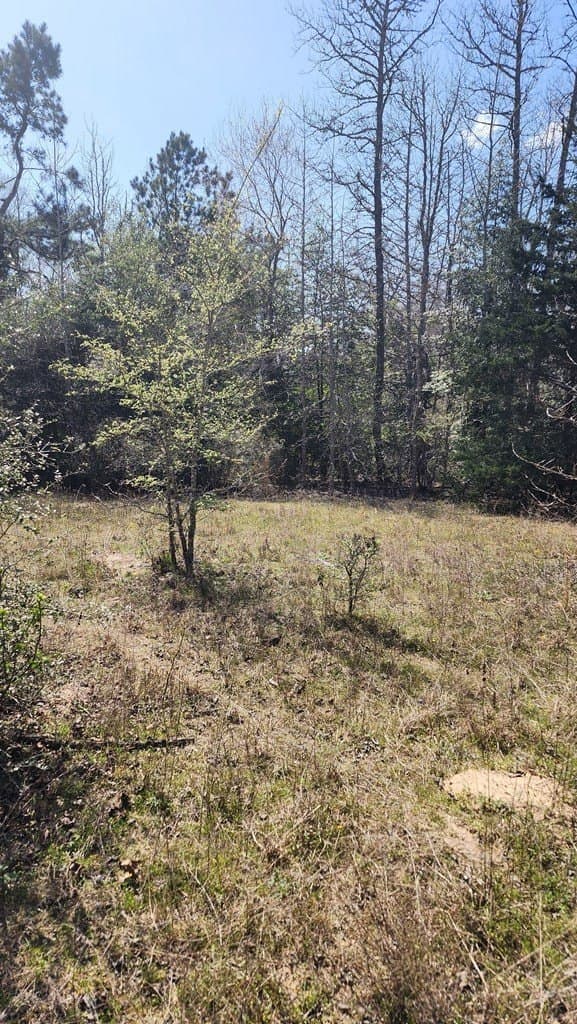 73.51 acres in ANDERSON County - photo 20