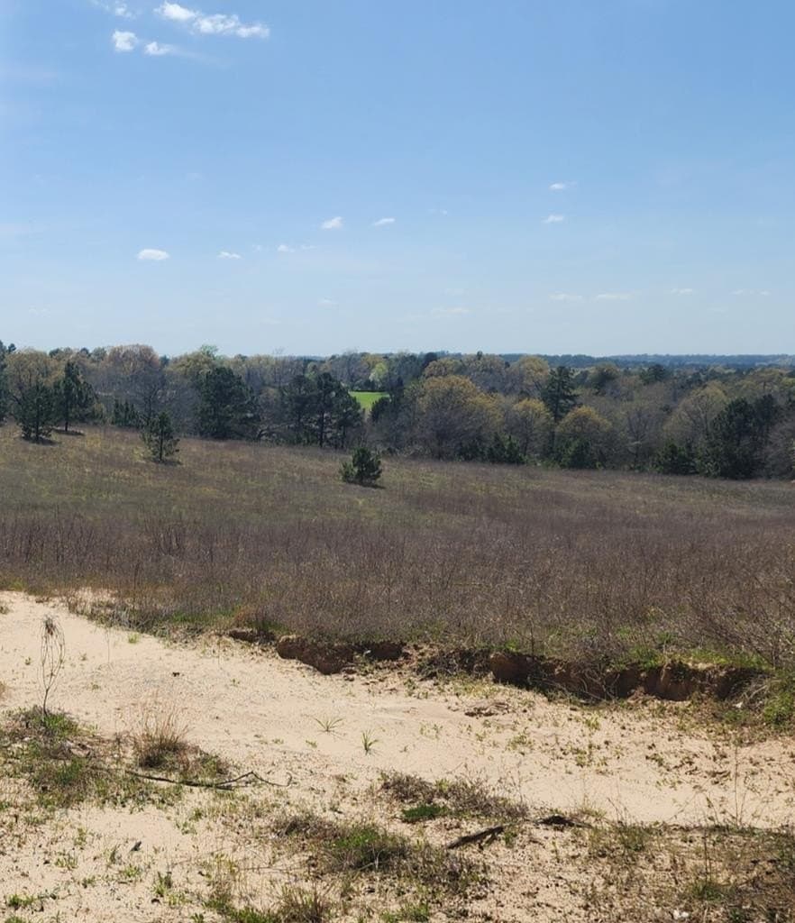 73.51 acres in ANDERSON County - photo 25