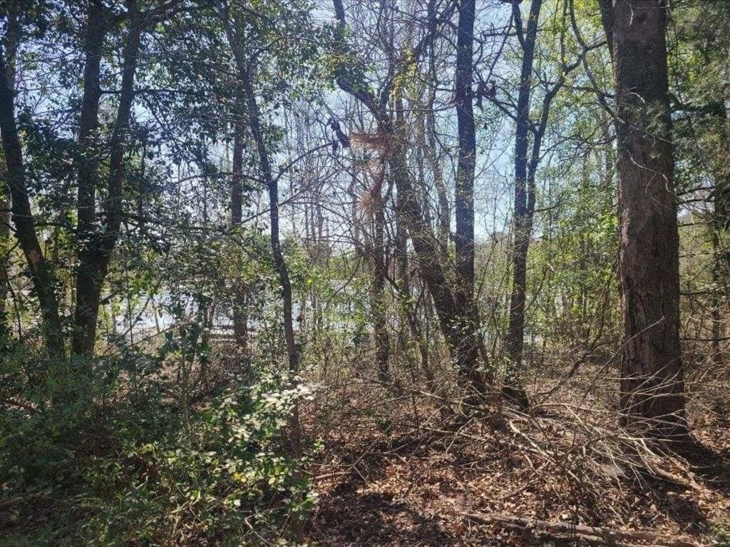 73.51 acres in ANDERSON County - photo 31