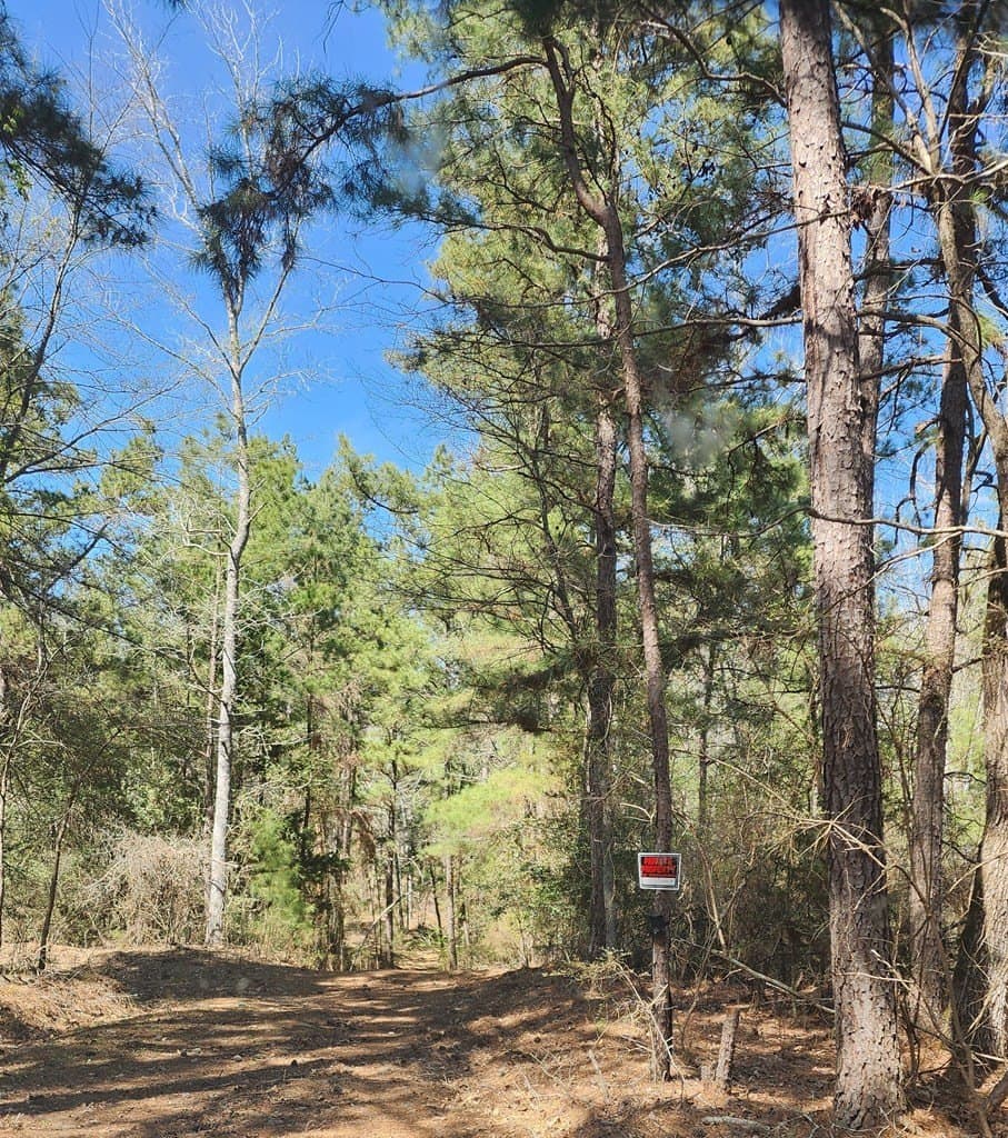 73.51 acres in ANDERSON County - photo 42