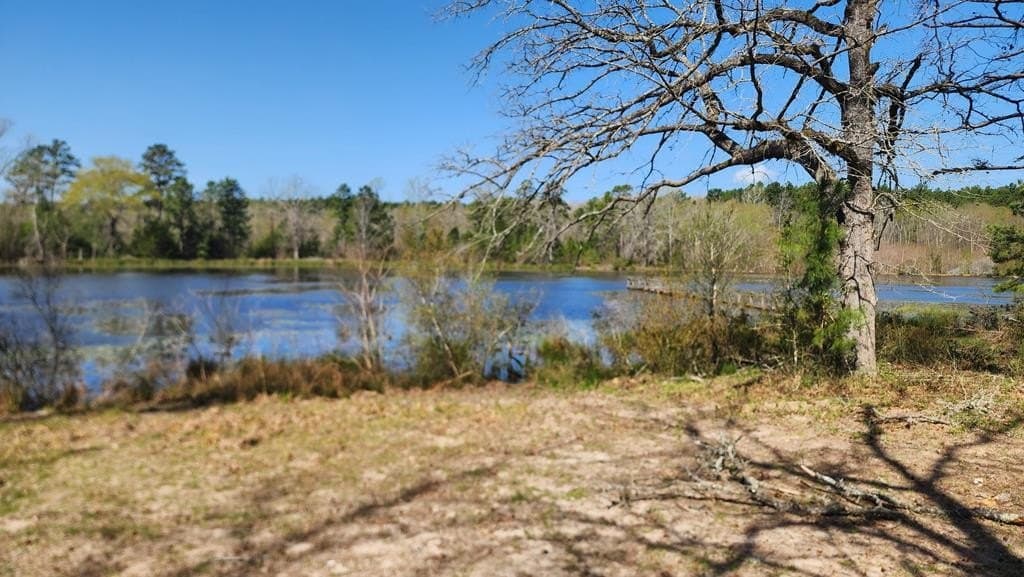 73.51 acres in ANDERSON County - photo 7