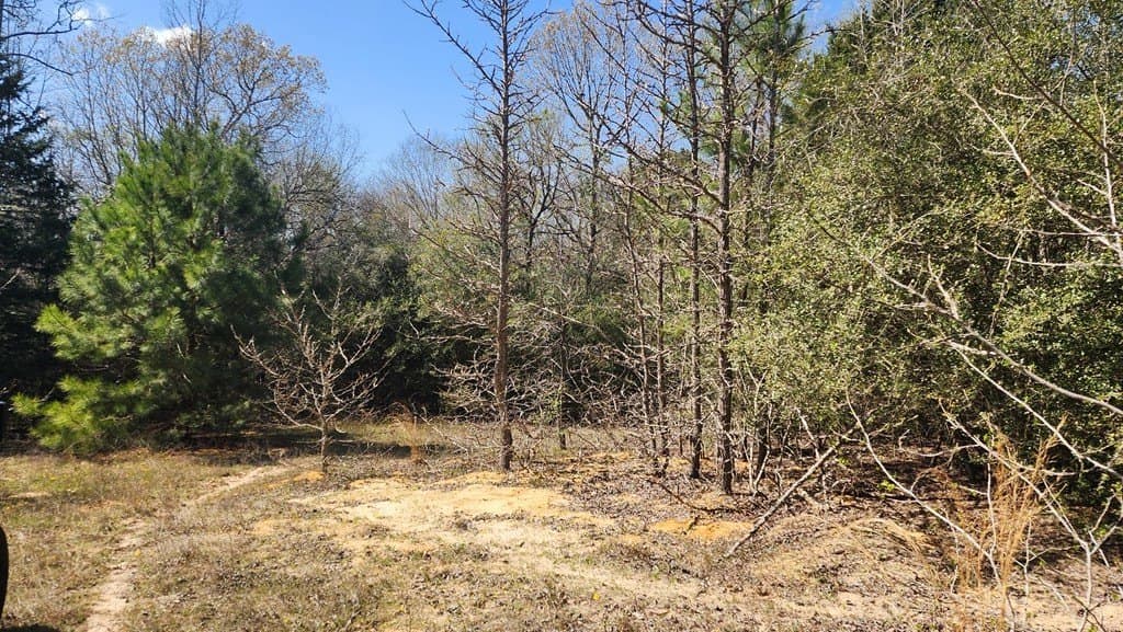 73.51 acres in ANDERSON County - photo 9