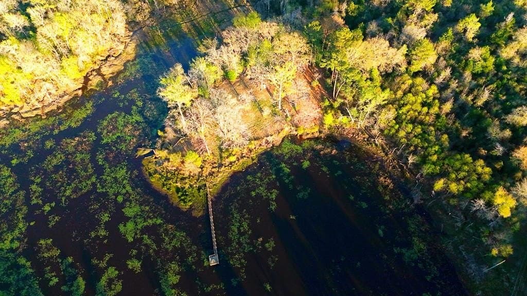 73.51 acres in ANDERSON County - photo 10