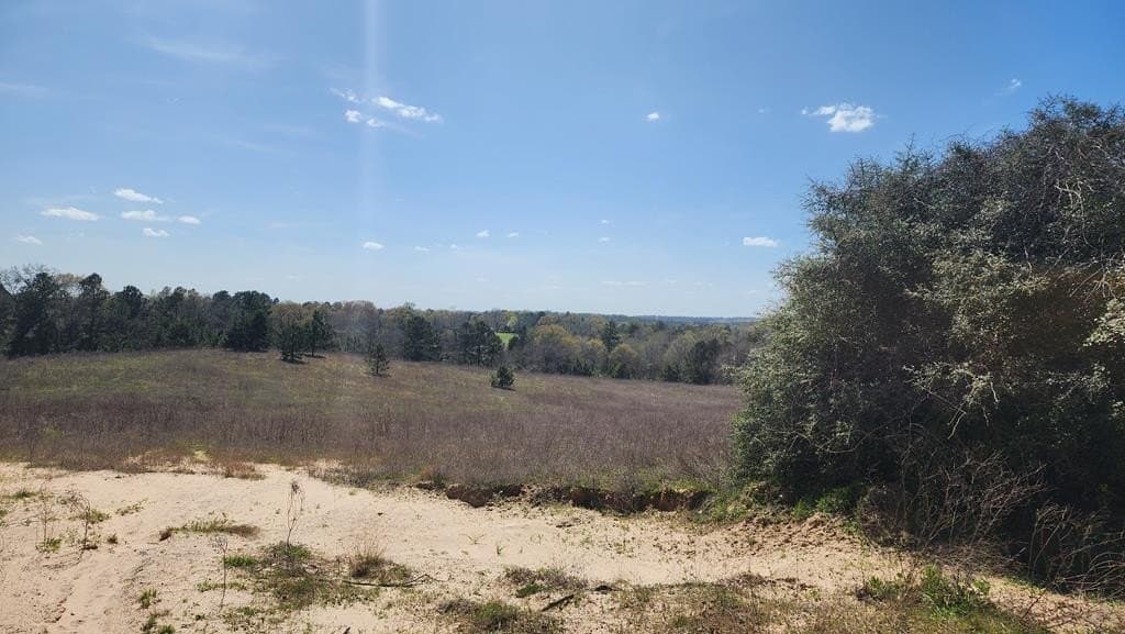 73.51 acres in ANDERSON County featured view