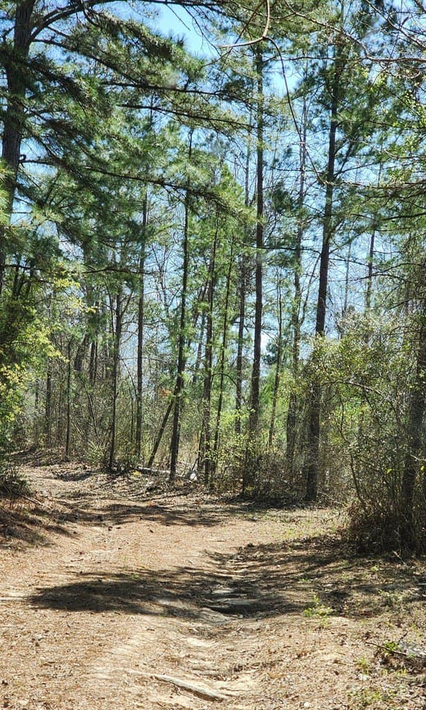 73.51 acres in ANDERSON County - photo 17
