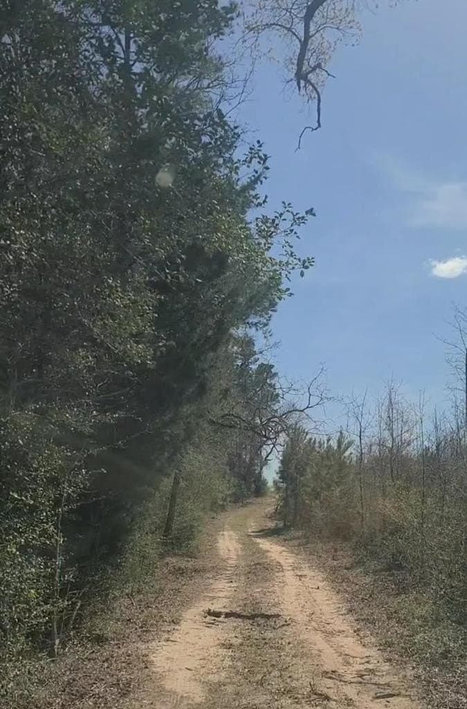 73.51 acres in ANDERSON County - photo 21