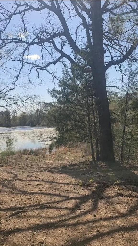 73.51 acres in ANDERSON County - photo 38