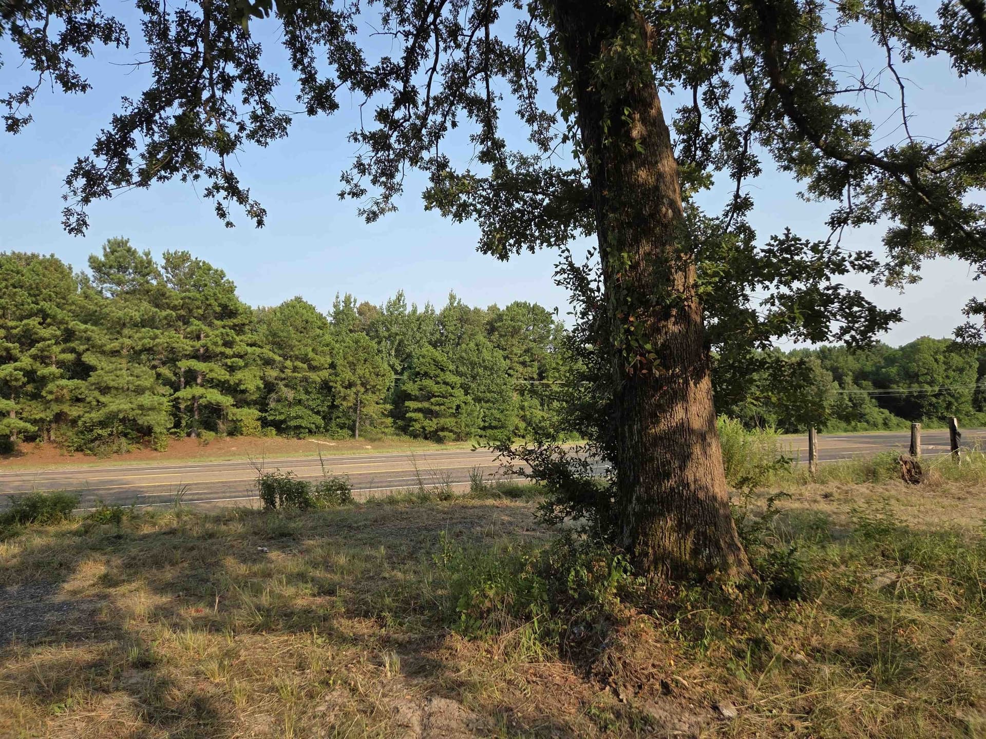 1.6 acres in Texas County gallery image 2