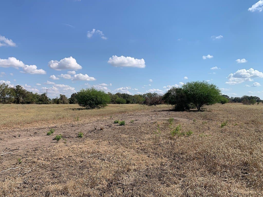 10.81 acres in Colorado County gallery image 4