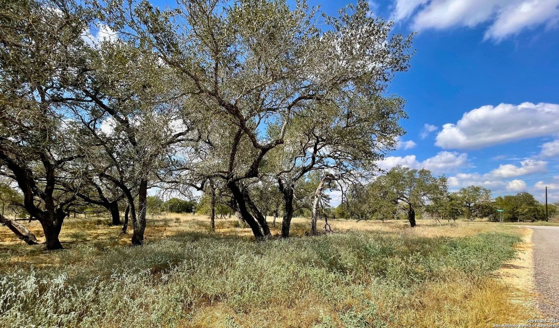 1 acres in Wilson County gallery image 3