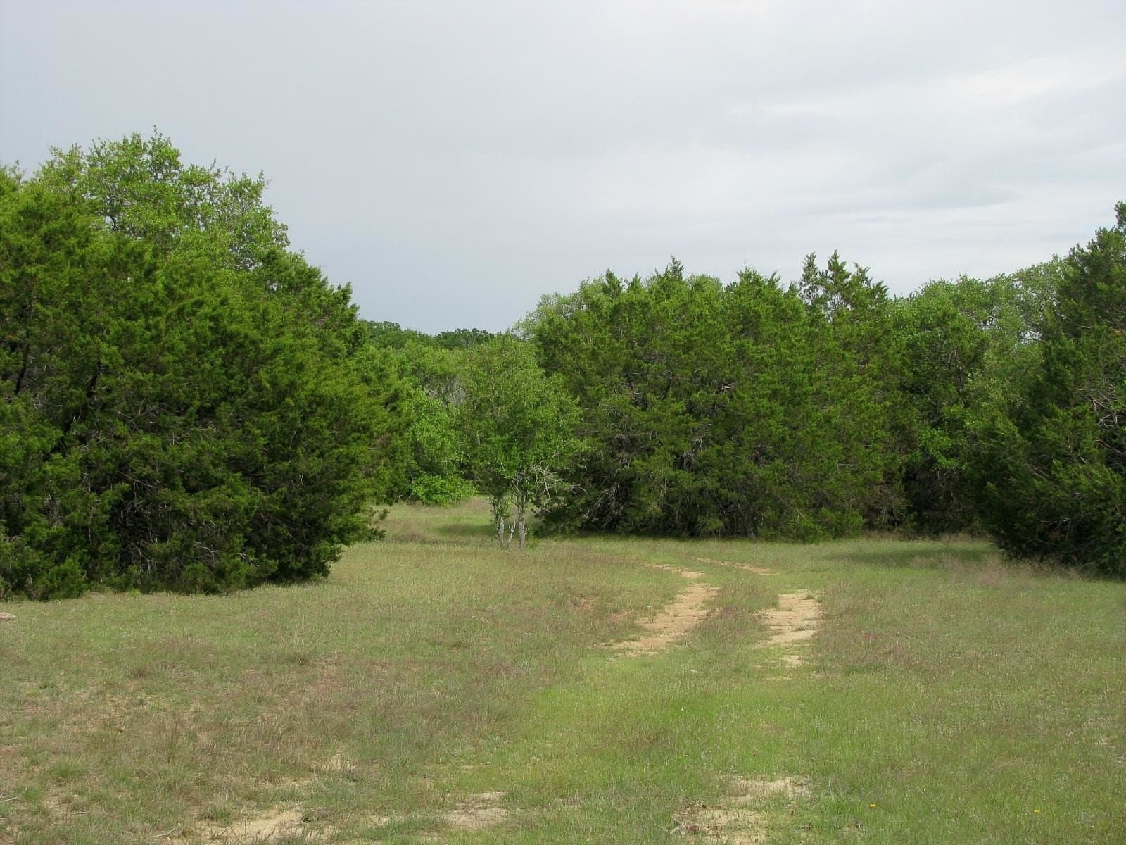 286.93 acres in Hamilton County - photo 31