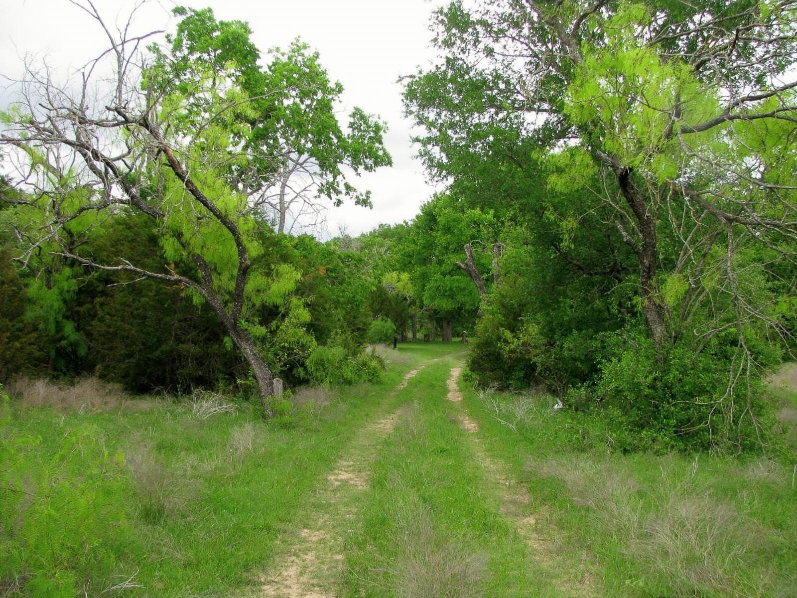 286.93 acres in Hamilton County - photo 21