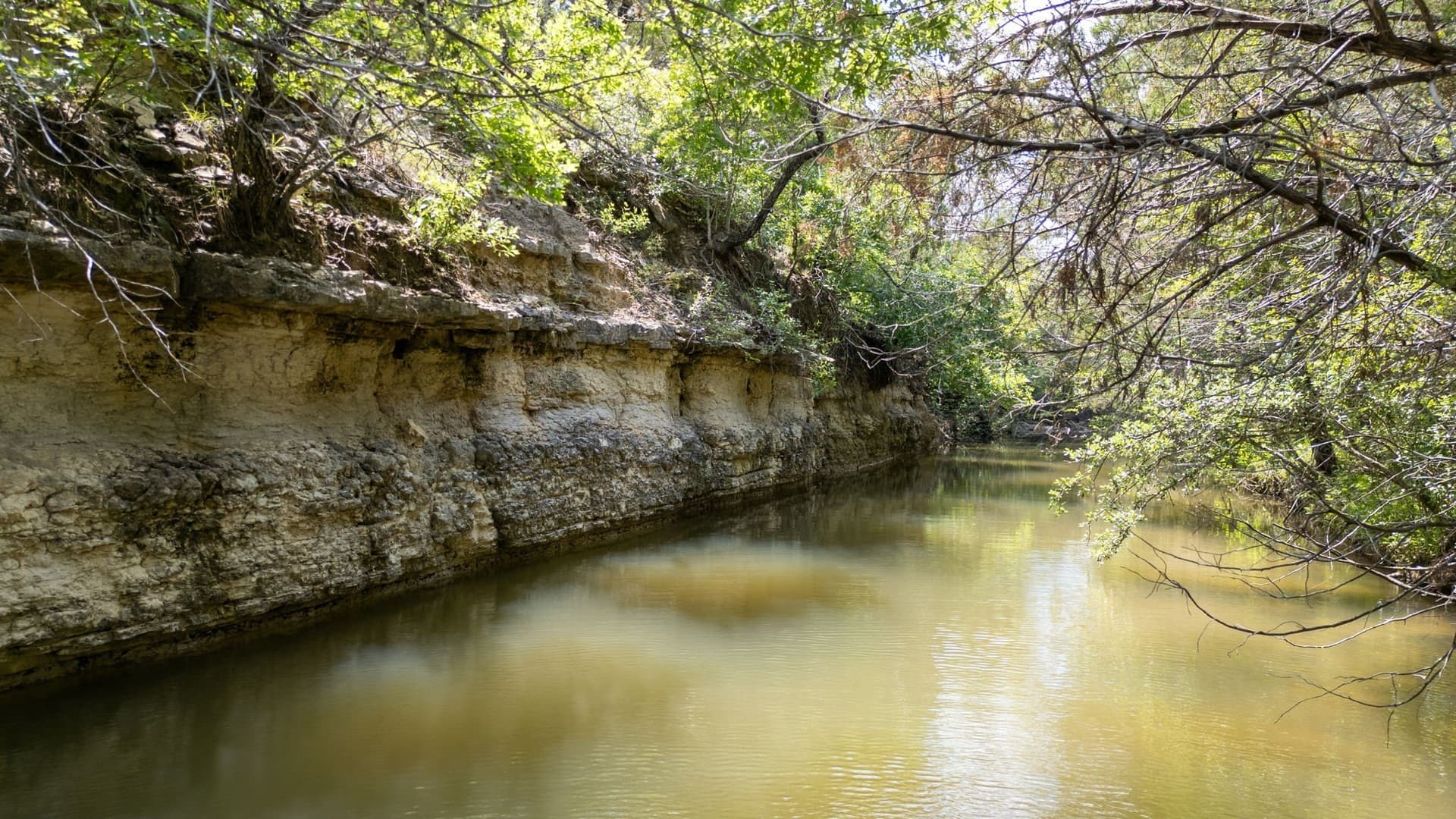 286.93 acres in Hamilton County - photo 11