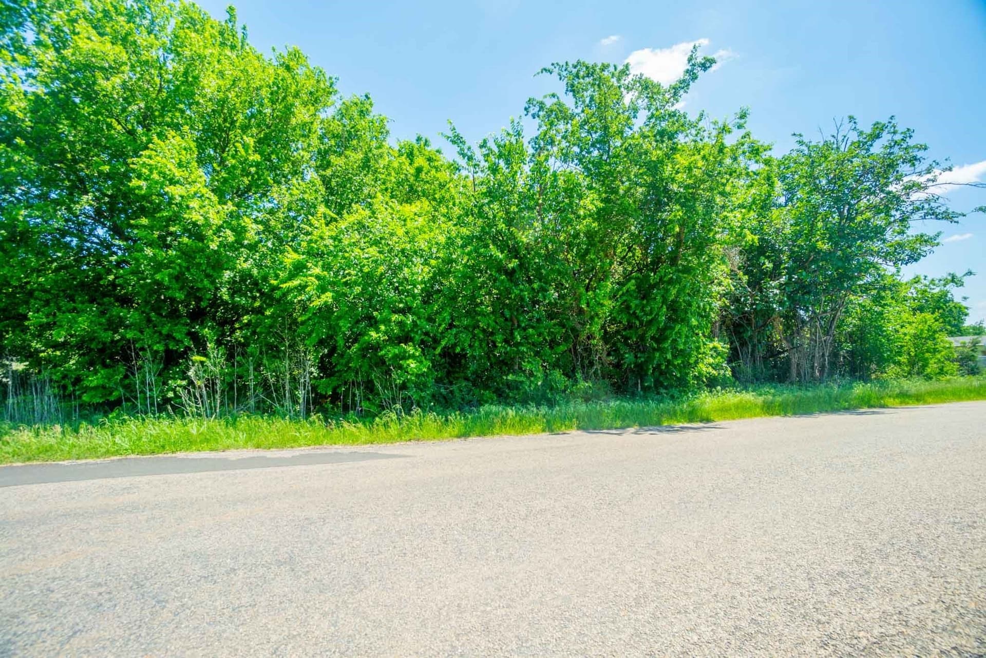 0.07 acres in Hood County - photo 7